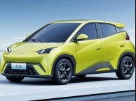 BYD DOLPHIN SURF